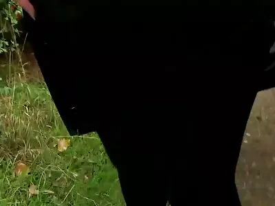 វីដេអូ