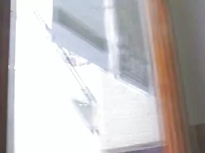 ទារក Ebony ត្រូវបាន fucked នៅក្នុងសួនរបស់នាង